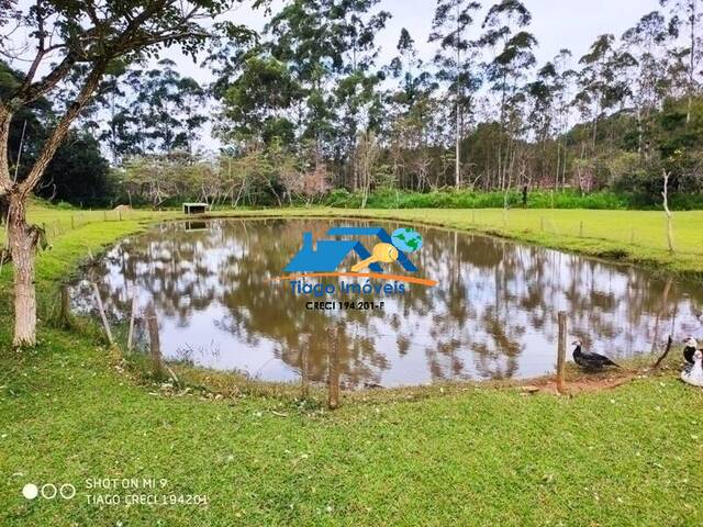 #183 - Sítio para Venda em Bom Jesus dos Perdões - SP - 3