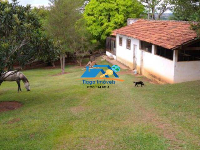 Sítio para Venda em Jarinu - 4