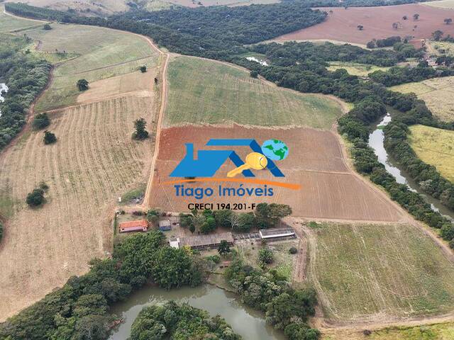 Fazenda para Venda em Tuiuti - 4