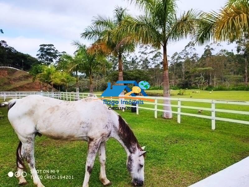 Sítio, 4 quartos, 2 hectares - Foto 11