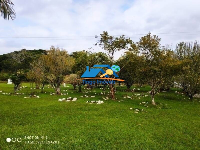 Sítio, 4 quartos, 2 hectares - Foto 41