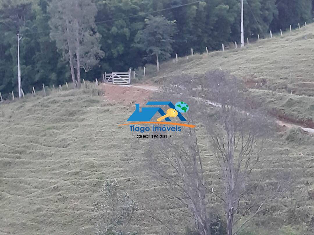 Chácara, 3 quartos, 4 hectares - Foto 15