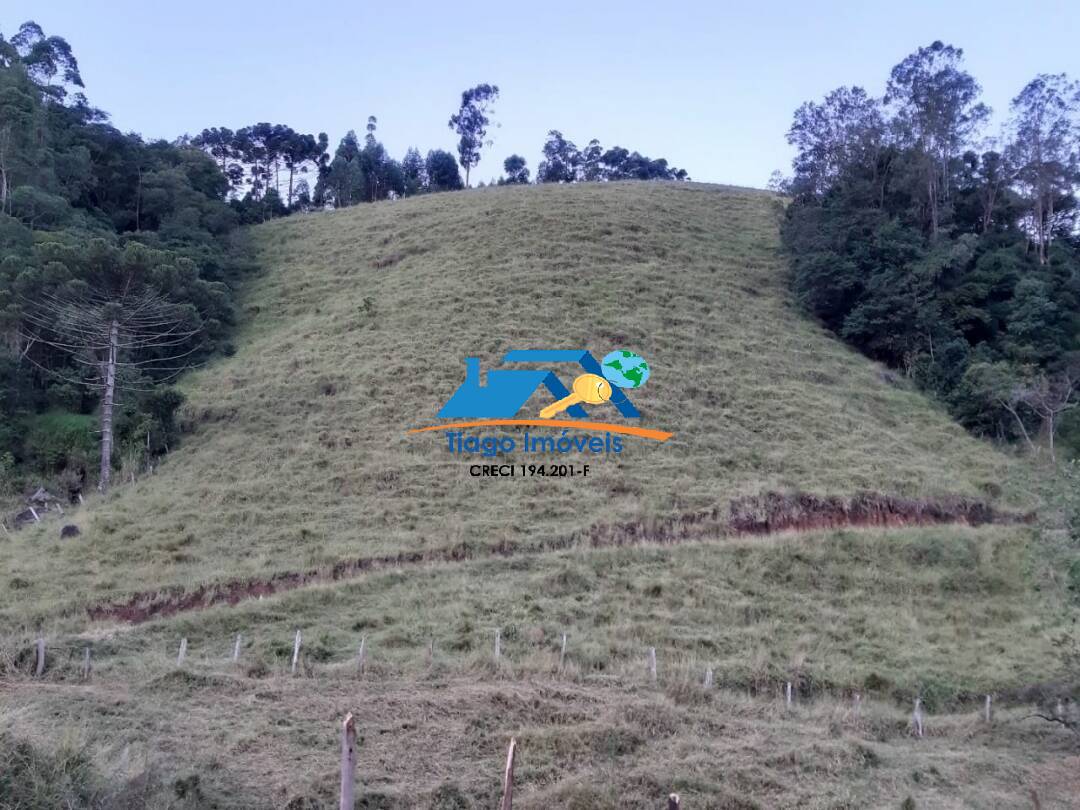 Chácara, 3 quartos, 4 hectares - Foto 7