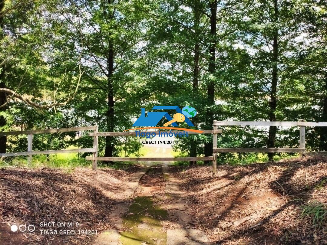 Sítio, 7 quartos, 4 hectares - Foto 64