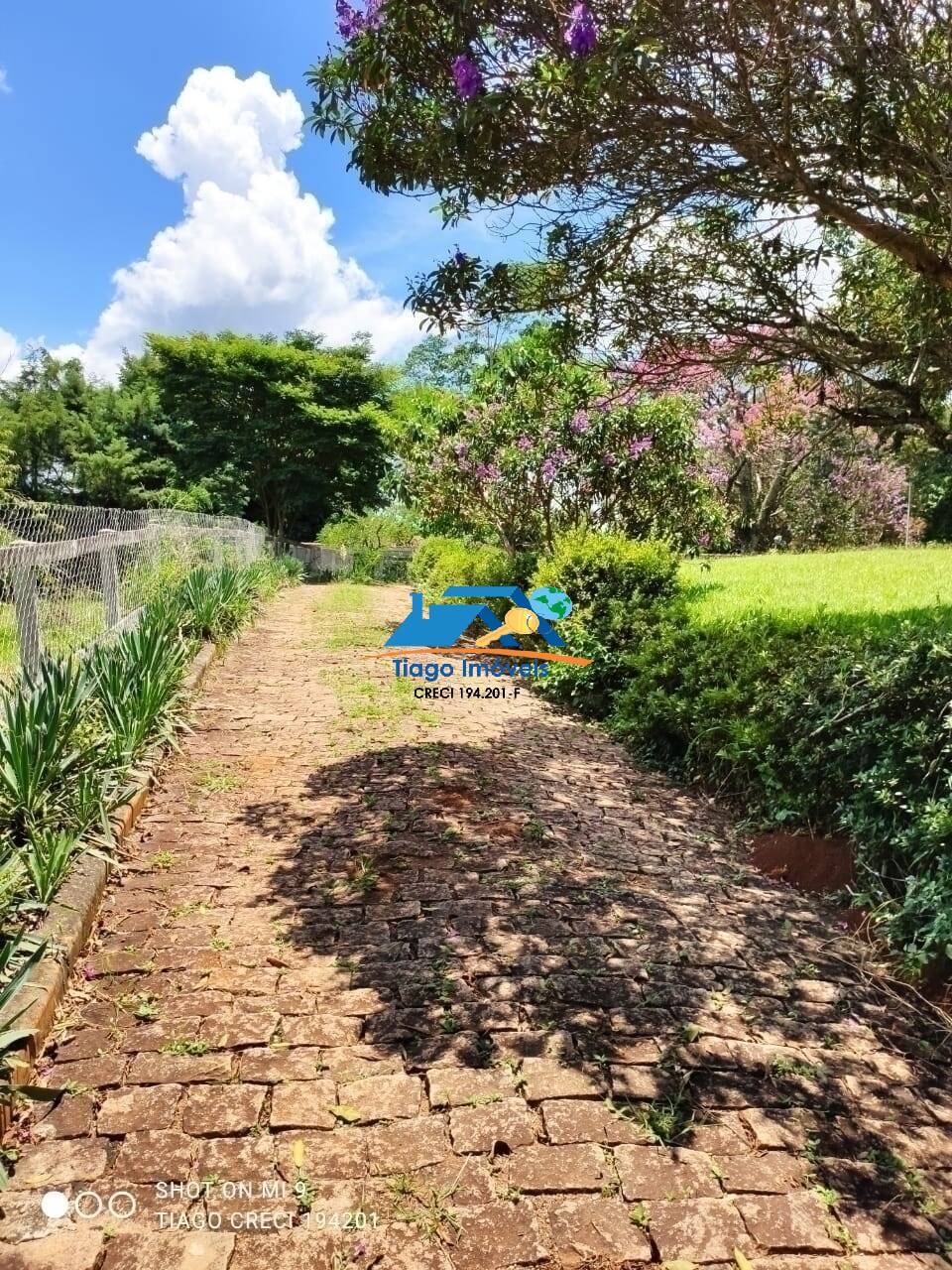 Sítio, 7 quartos, 4 hectares - Foto 18
