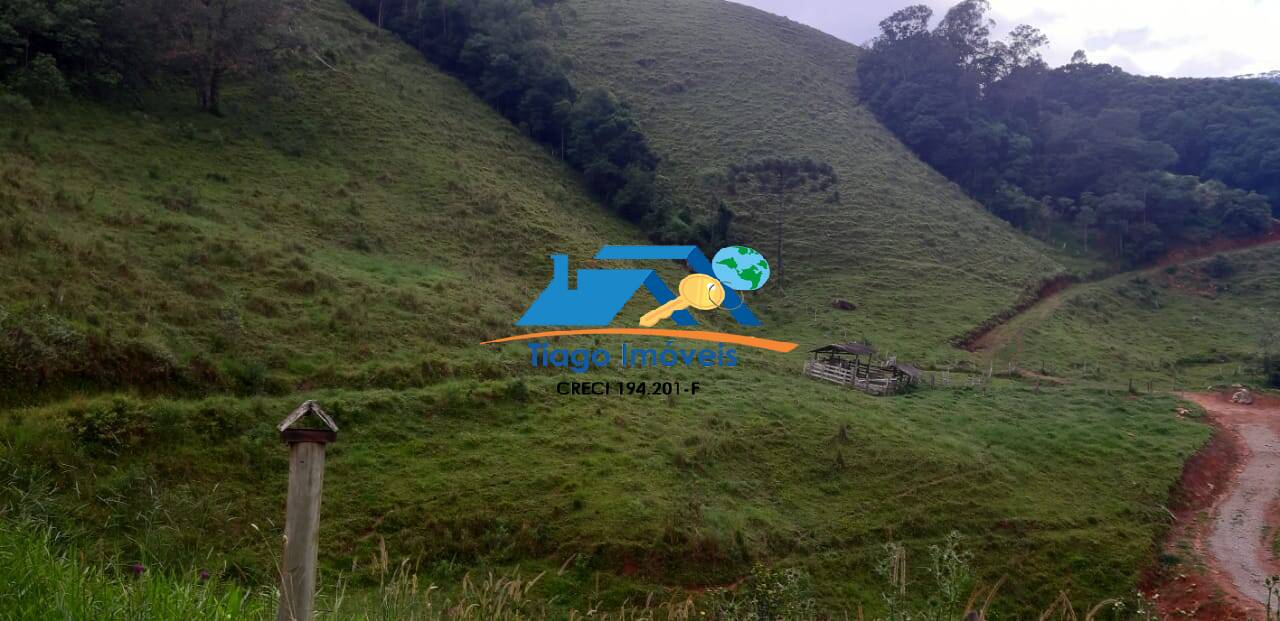 Chácara, 3 quartos, 4 hectares - Foto 25