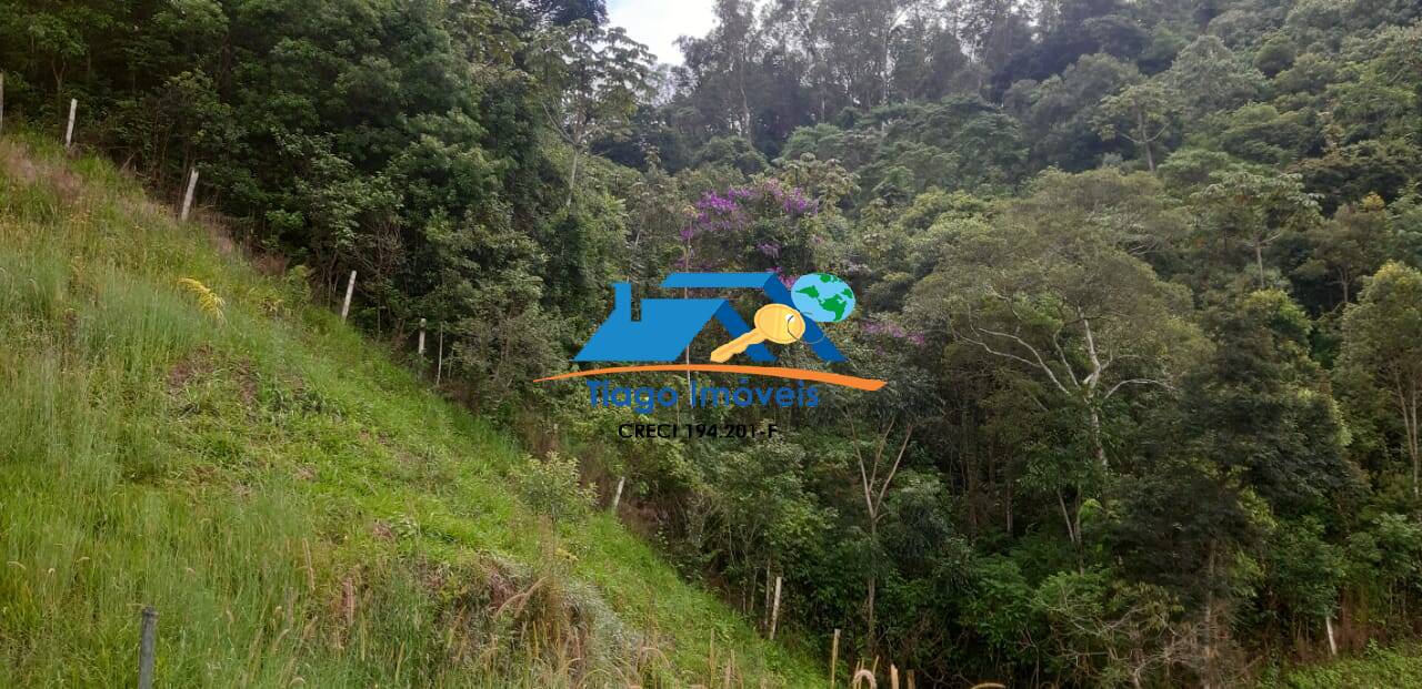 Chácara, 3 quartos, 4 hectares - Foto 34