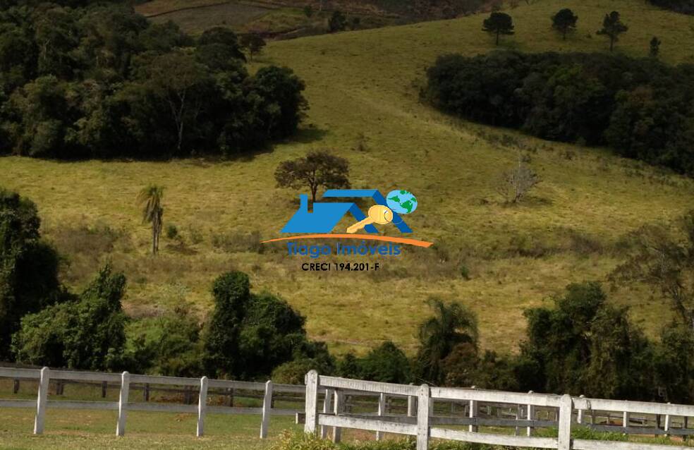 Sítio à venda com 4 quartos, 48000m² - Foto 3