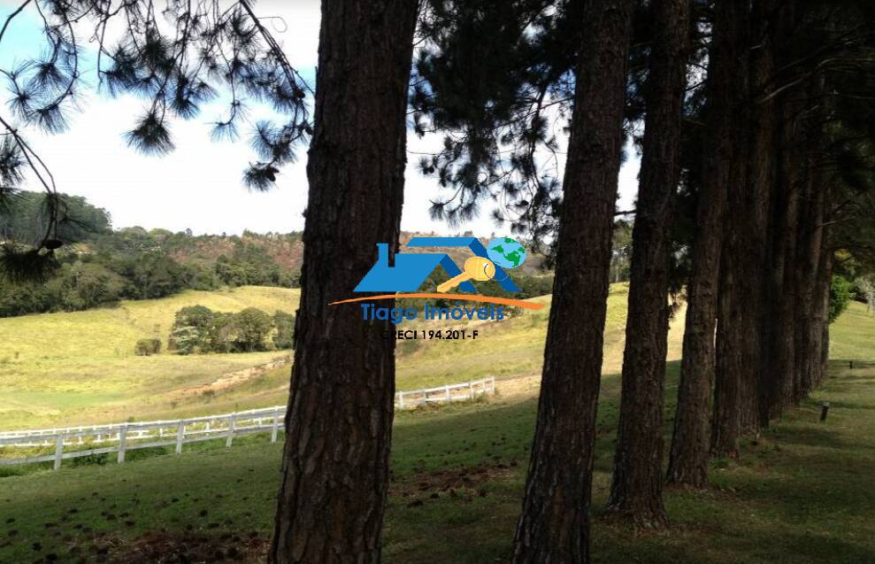 Sítio à venda com 4 quartos, 48000m² - Foto 8