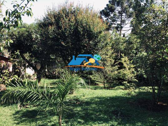 Chácara, 2 quartos, 2500 m² - Foto 26