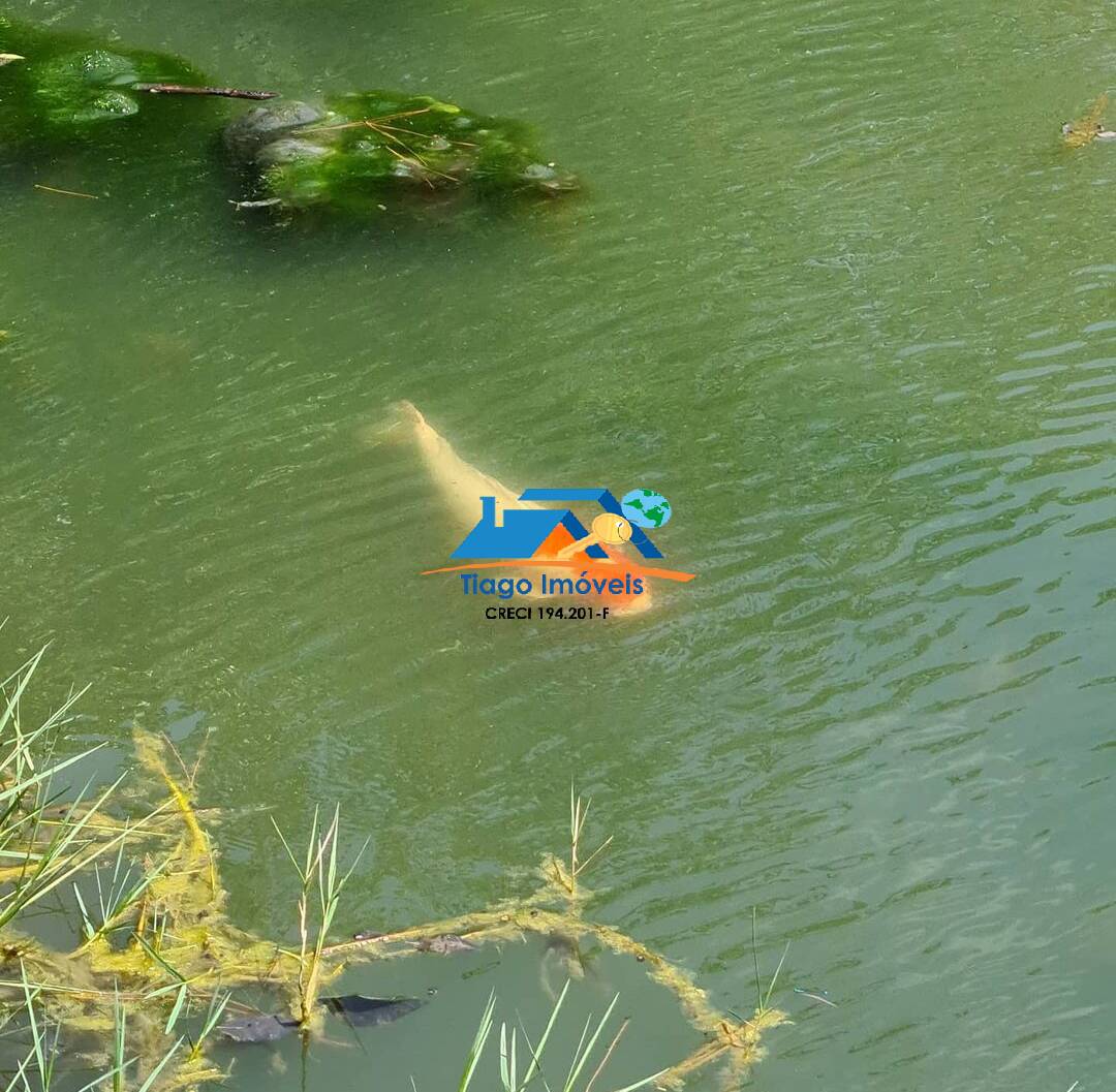 Sítio, 4 quartos, 10 hectares - Foto 36