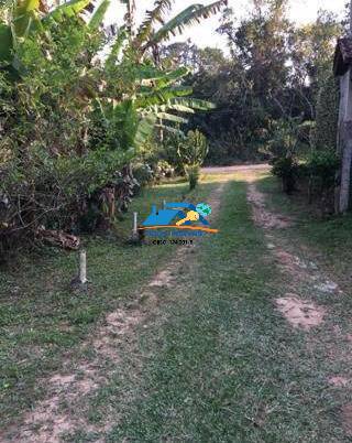 Sítio, 3 quartos, 2900 m² - Foto 11