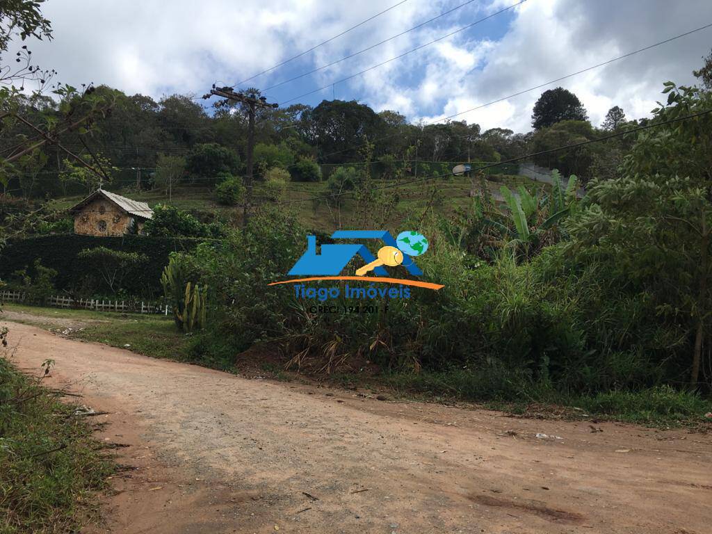 Sítio, 3 quartos, 2900 m² - Foto 30