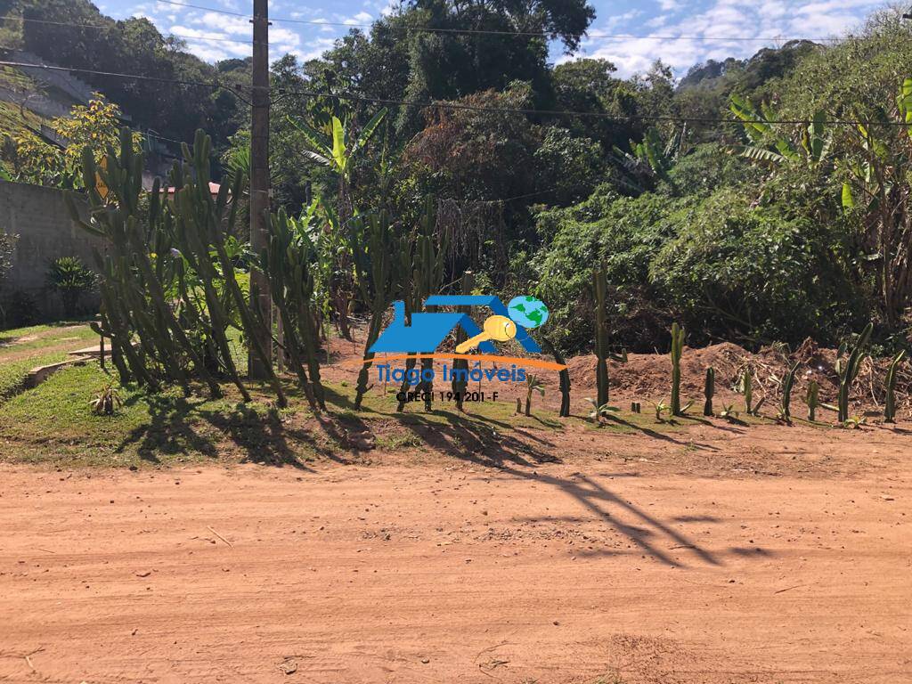 Sítio, 3 quartos, 2900 m² - Foto 29