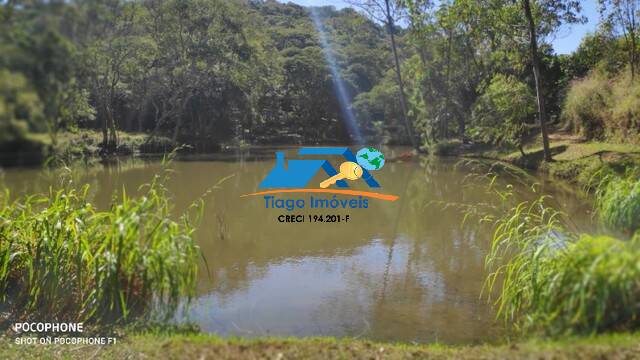 Sítio à venda com 4 quartos, 44000m² - Foto 3