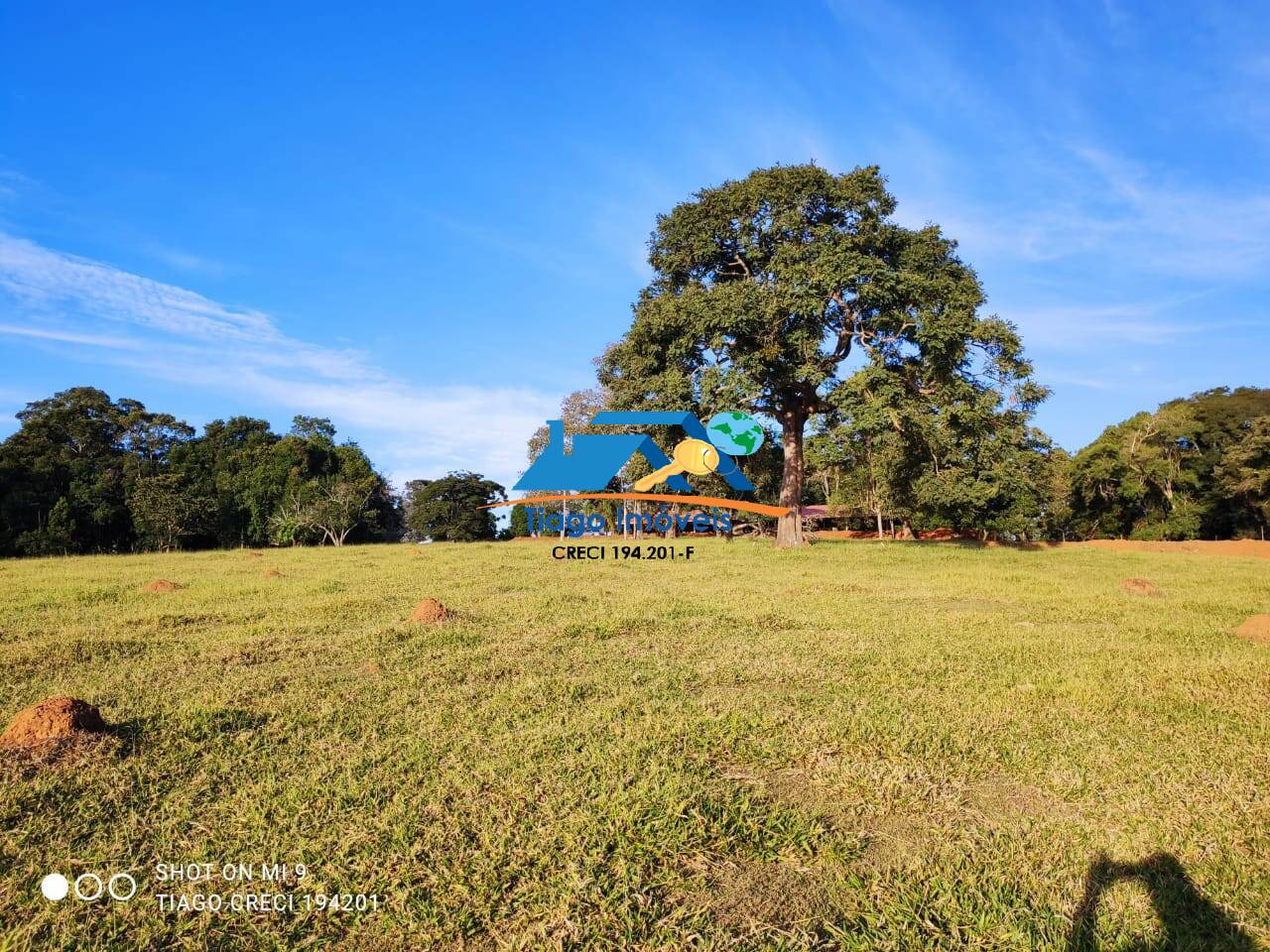 Sítio, 3 quartos, 7 hectares - Foto 24