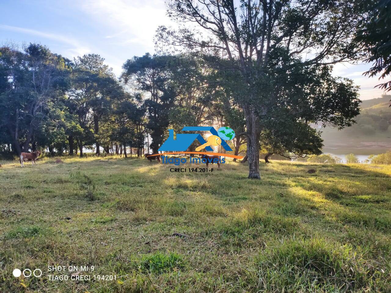 Sítio, 8 quartos, 3 hectares - Foto 3