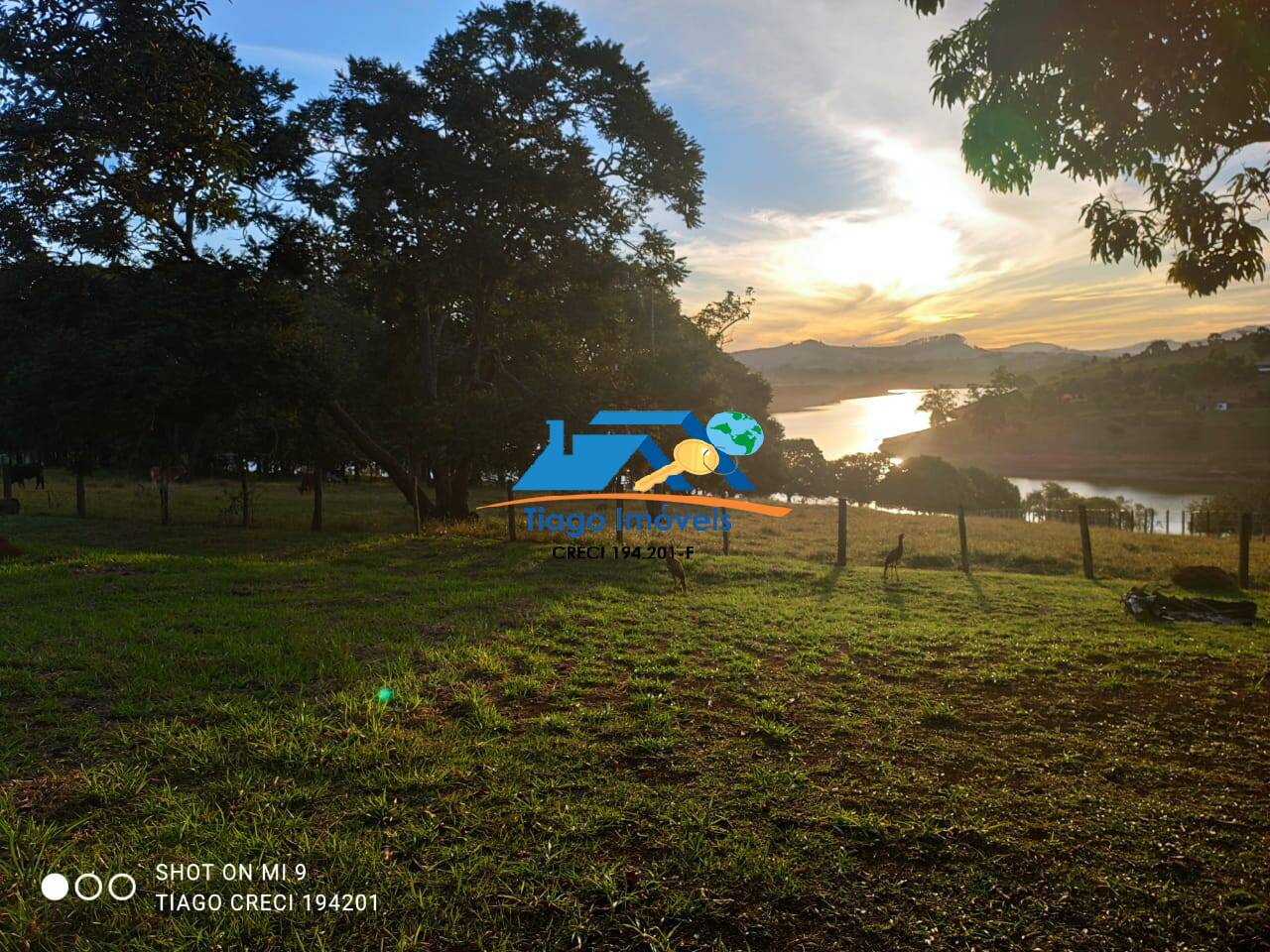 Sítio, 8 quartos, 3 hectares - Foto 7