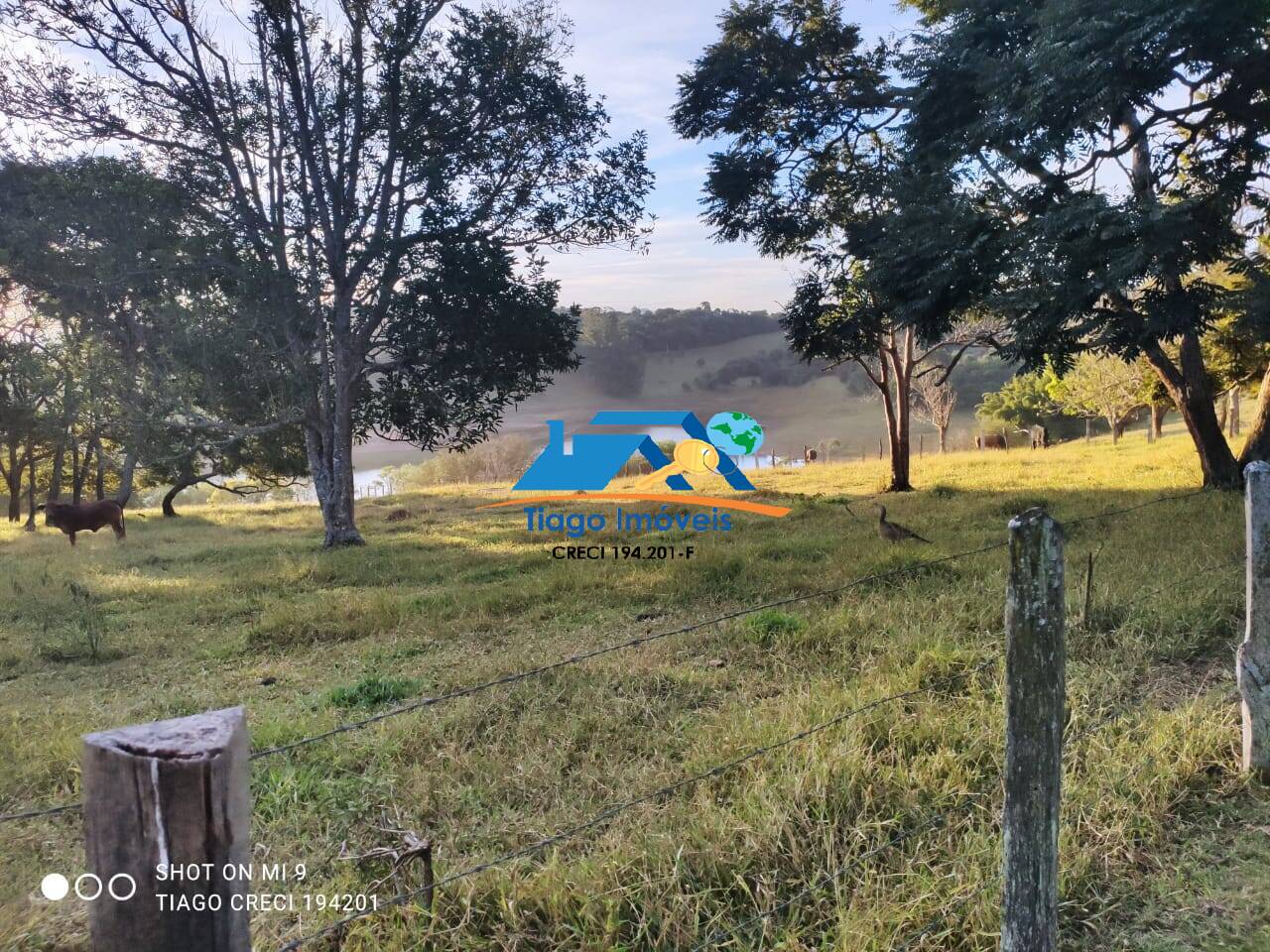 Sítio, 8 quartos, 3 hectares - Foto 14