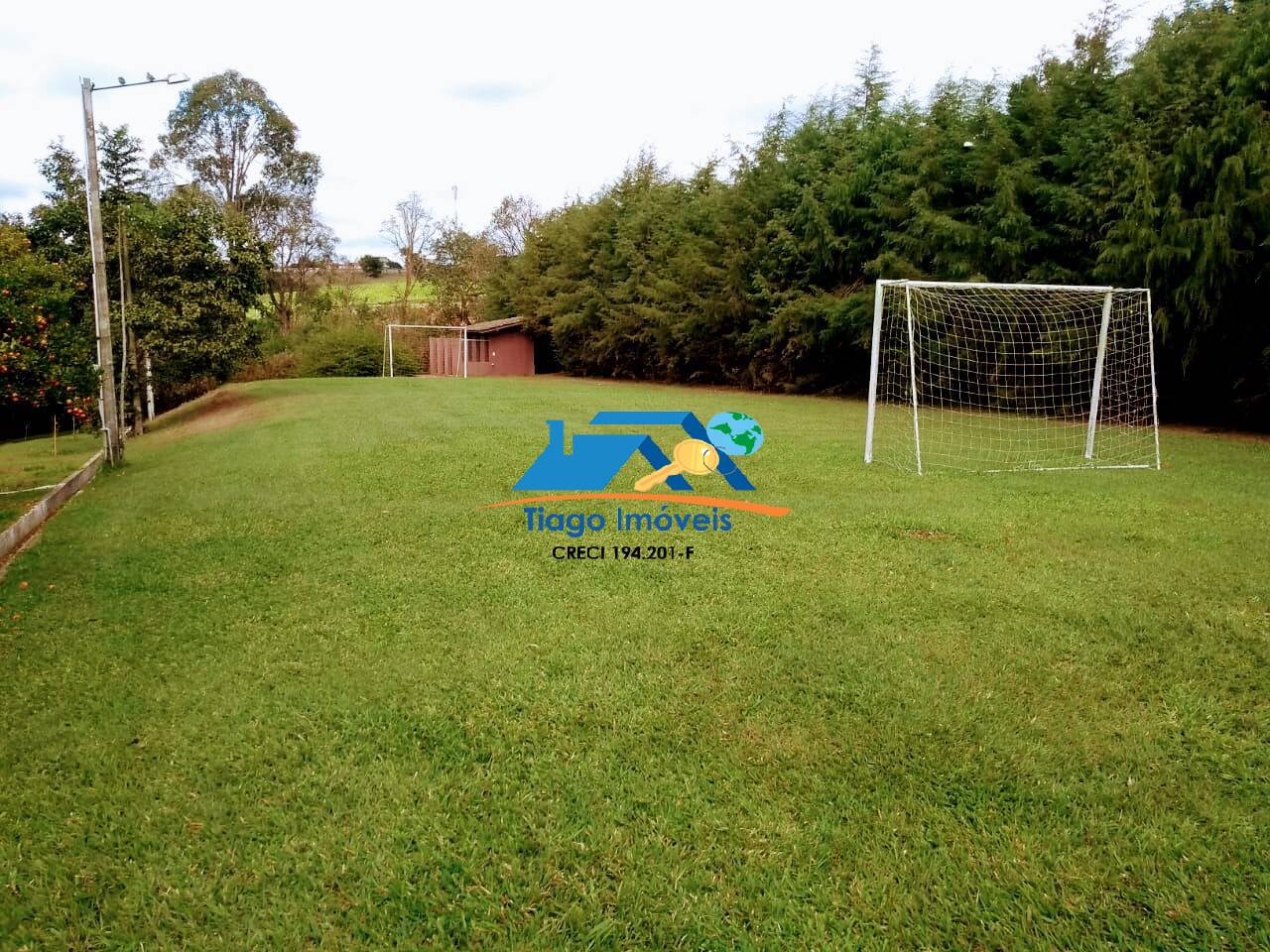 Sítio, 6 quartos, 5000 m² - Foto 6