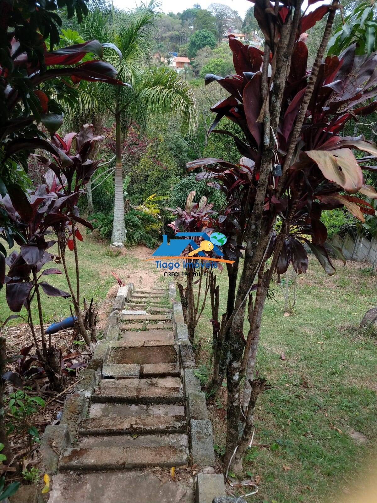 Sítio, 2 quartos, 2100 m² - Foto 19