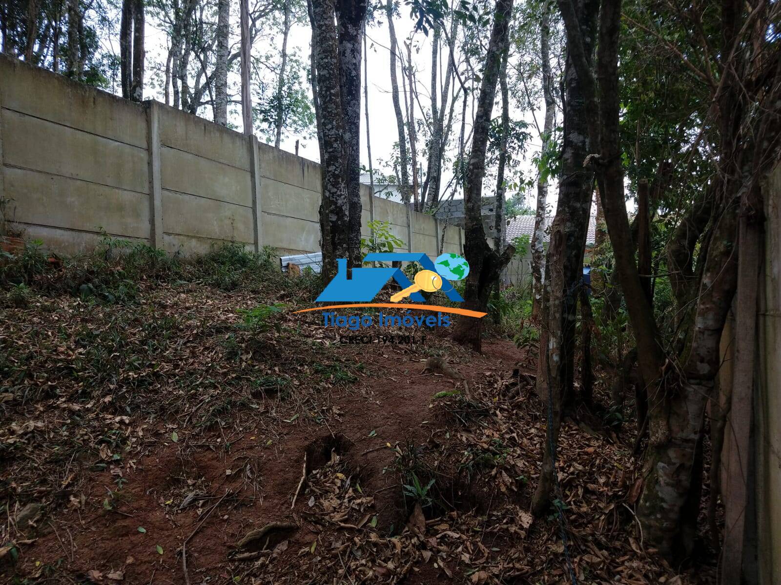 Sítio, 2 quartos, 2100 m² - Foto 23