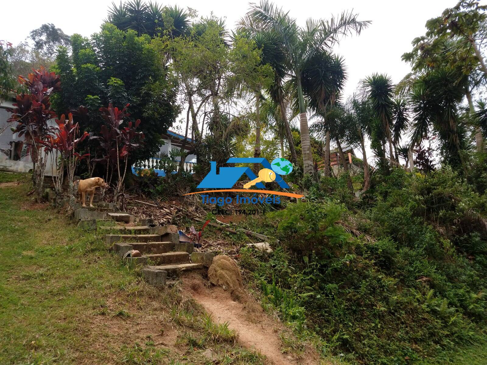 Sítio, 2 quartos, 2100 m² - Foto 26