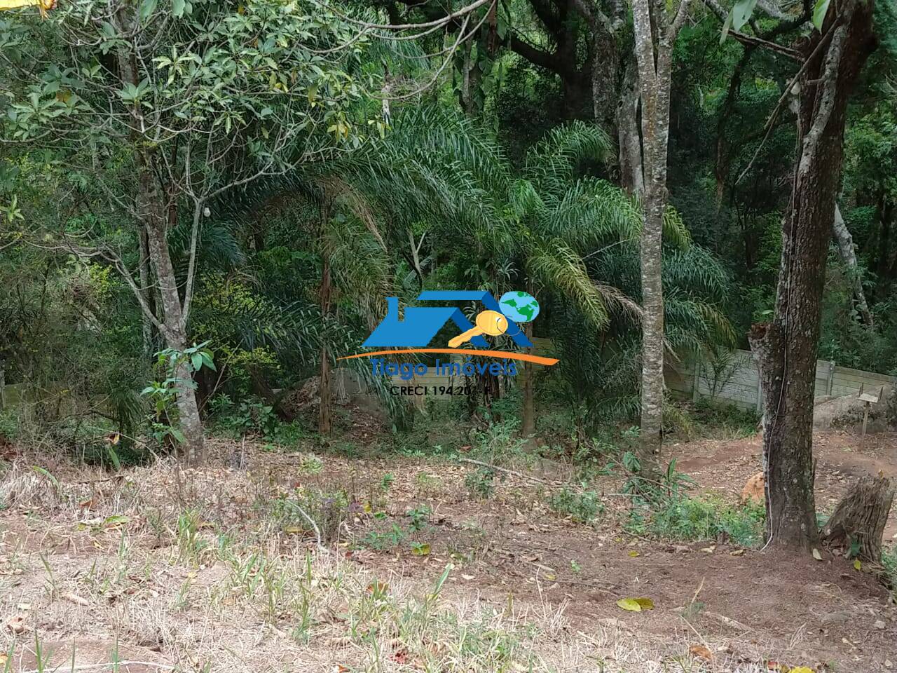 Sítio, 2 quartos, 2100 m² - Foto 27