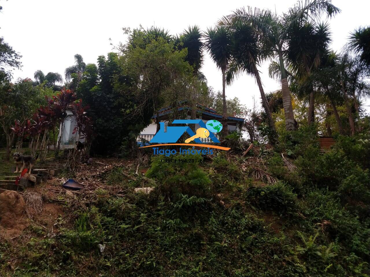 Sítio, 2 quartos, 2100 m² - Foto 28