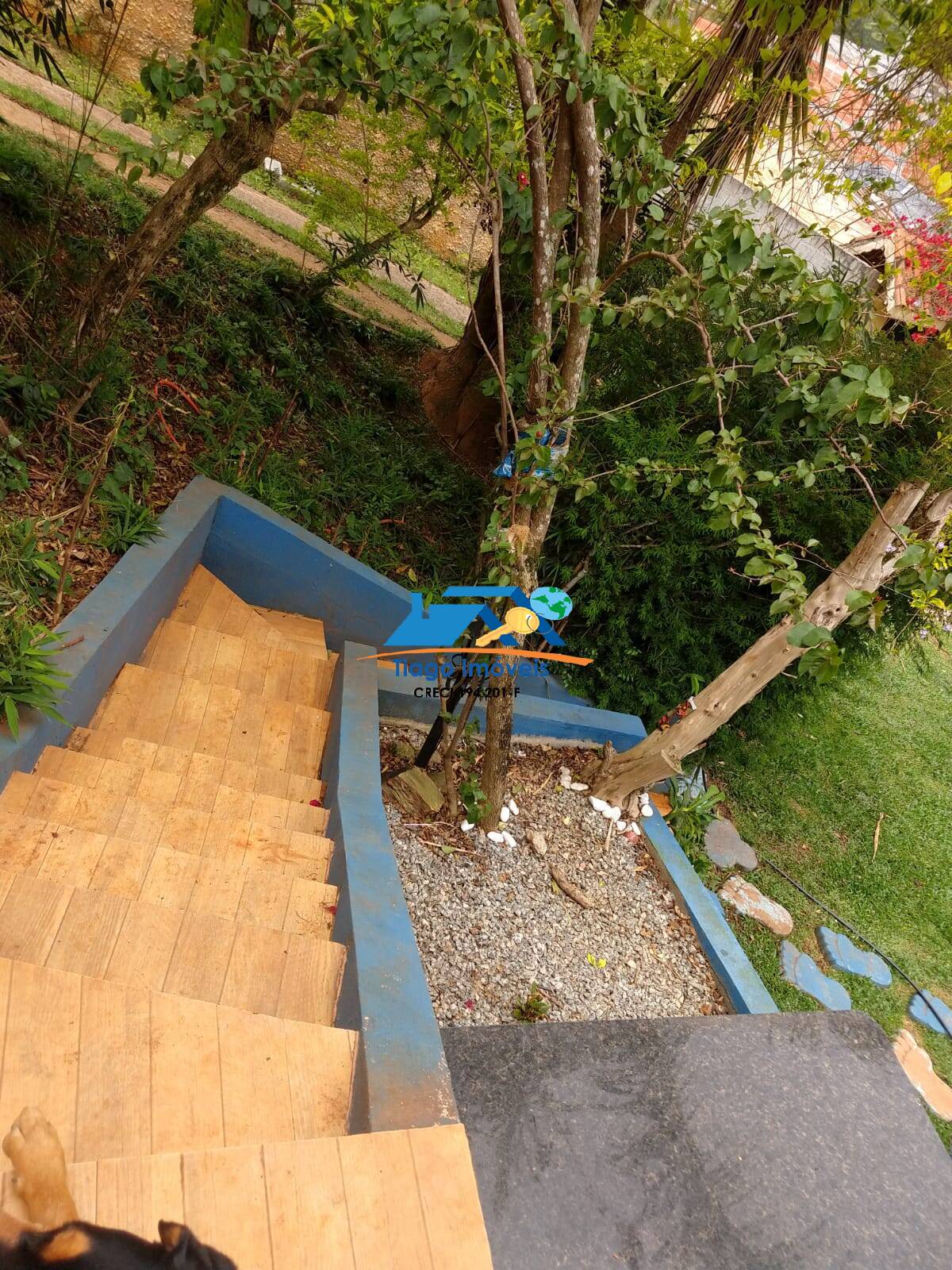 Sítio, 2 quartos, 2100 m² - Foto 39