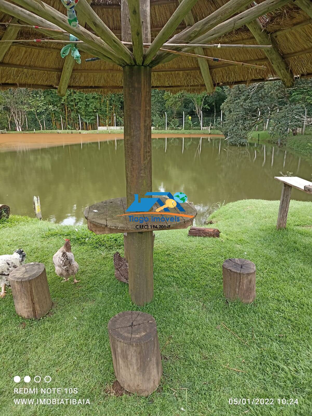 Sítio, 9 quartos, 9466 m² - Foto 13