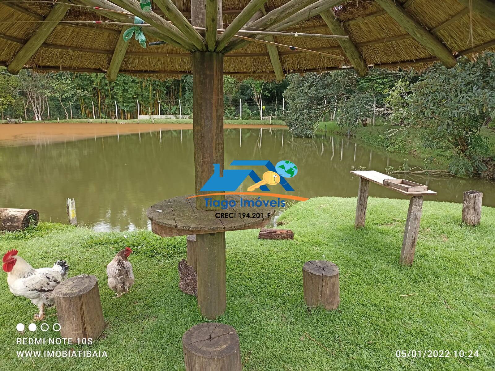 Sítio, 9 quartos, 9466 m² - Foto 23