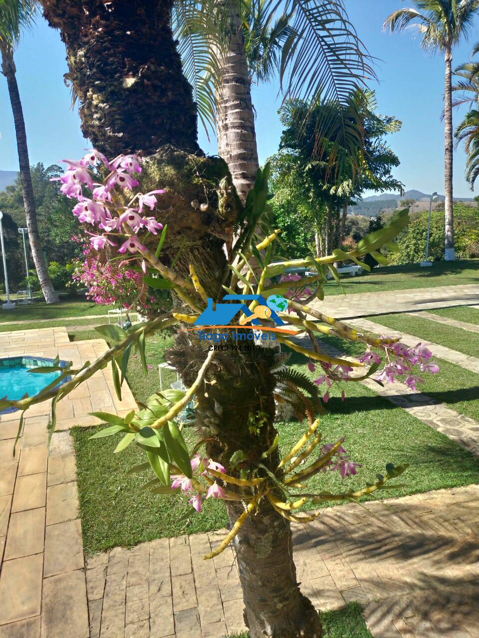 Sítio, 10 quartos, 3 hectares - Foto 15