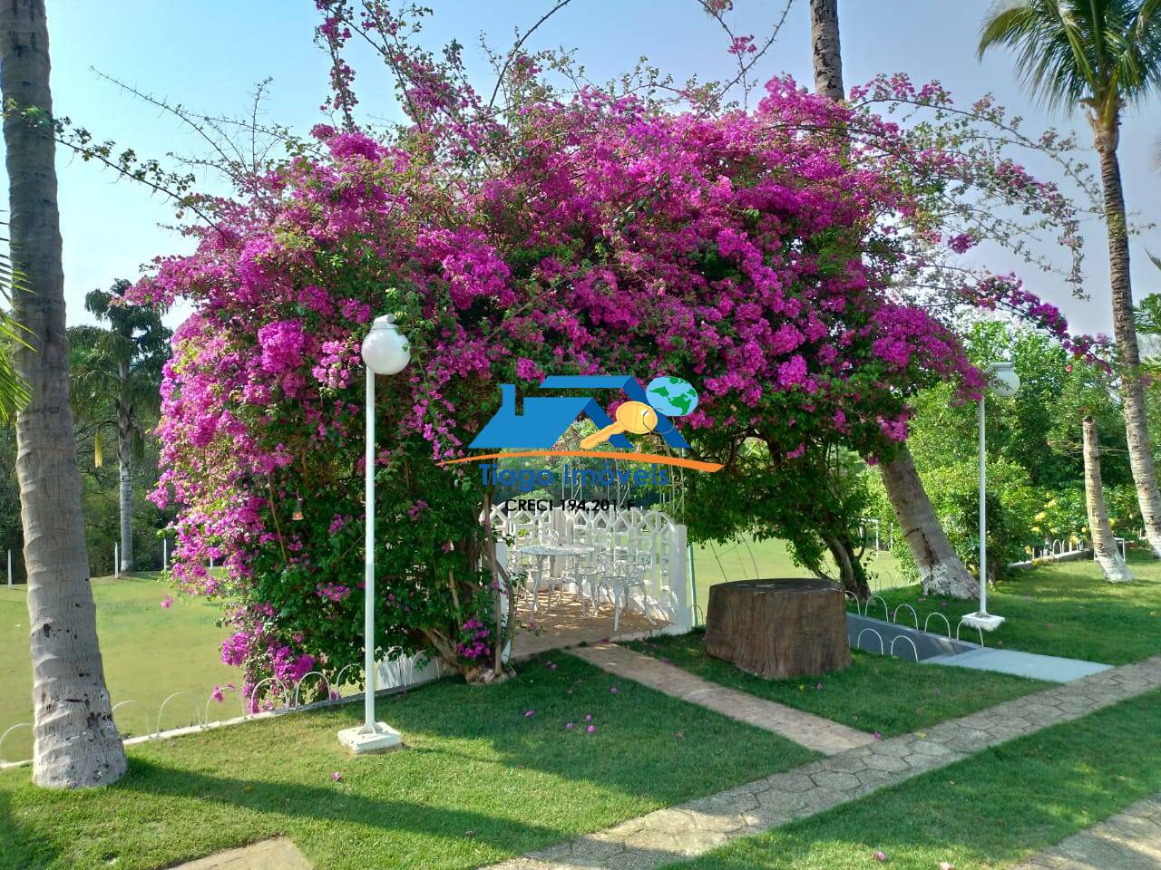 Sítio, 10 quartos, 3 hectares - Foto 19