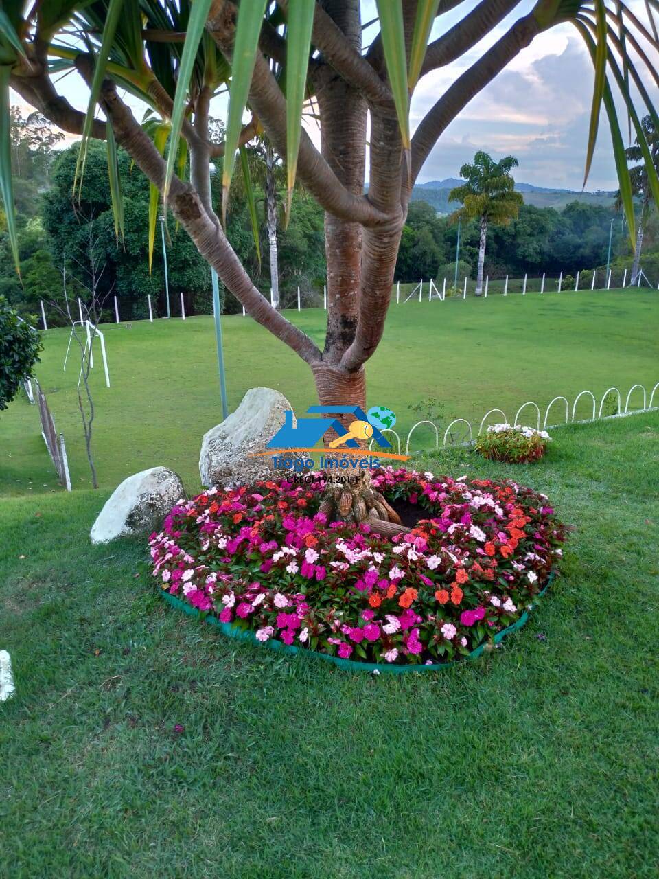 Sítio, 10 quartos, 3 hectares - Foto 25