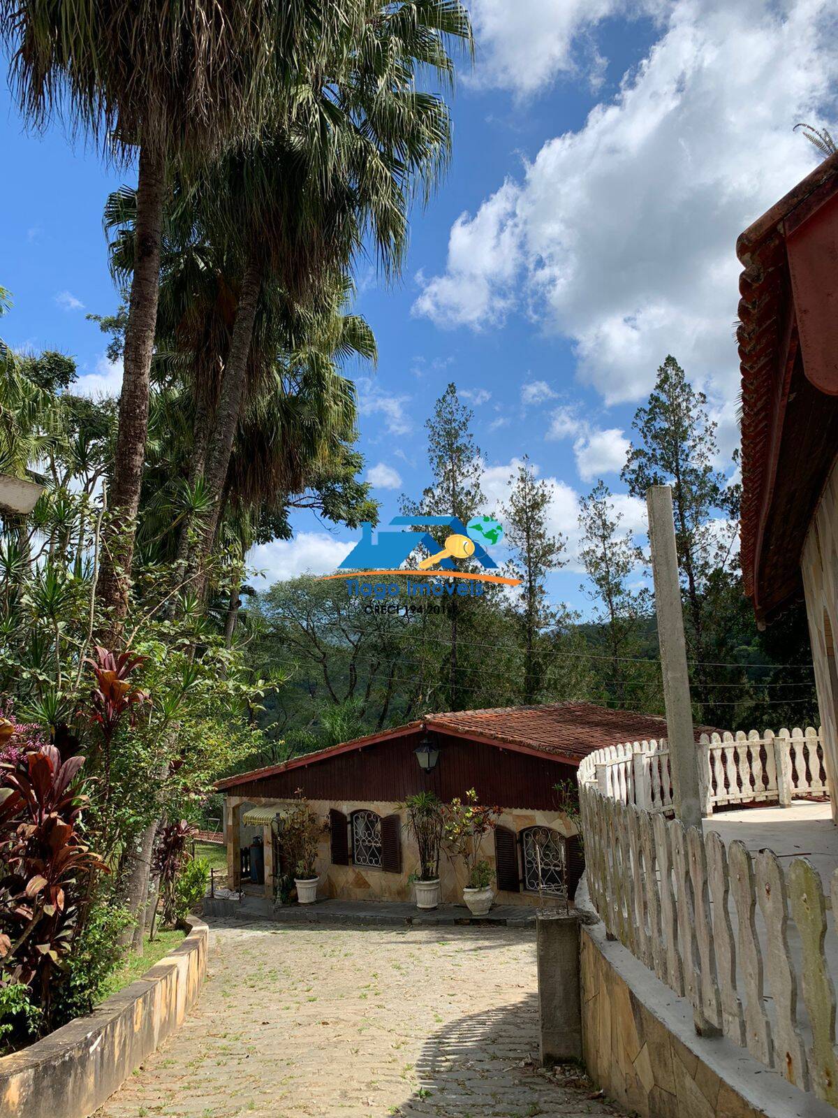 Sítio, 3 quartos, 5000 m² - Foto 17