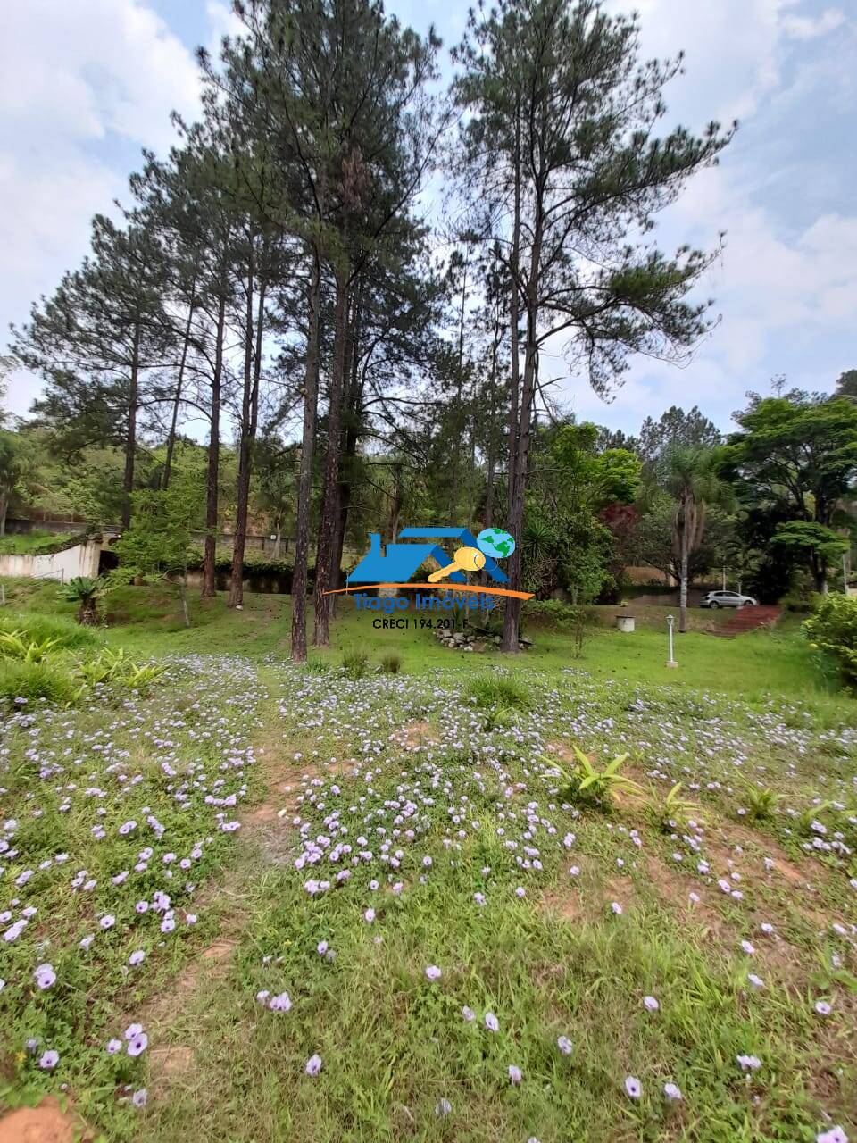 Chácara, 4 quartos, 7500 m² - Foto 19