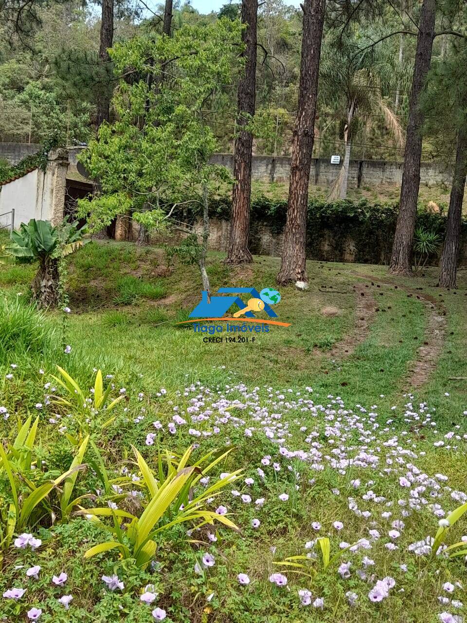 Chácara, 4 quartos, 7500 m² - Foto 20