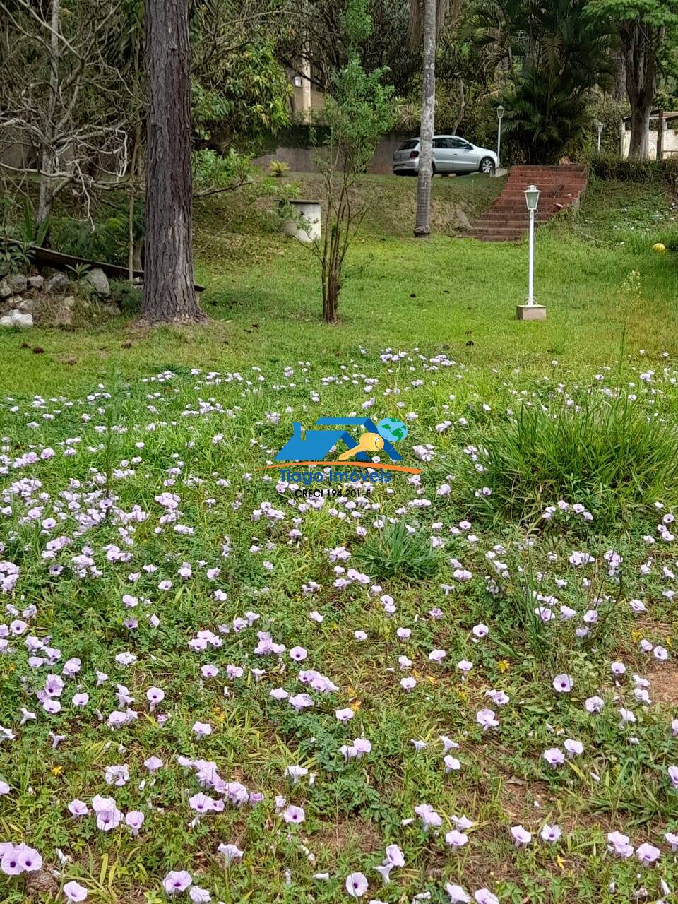 Chácara, 4 quartos, 7500 m² - Foto 21