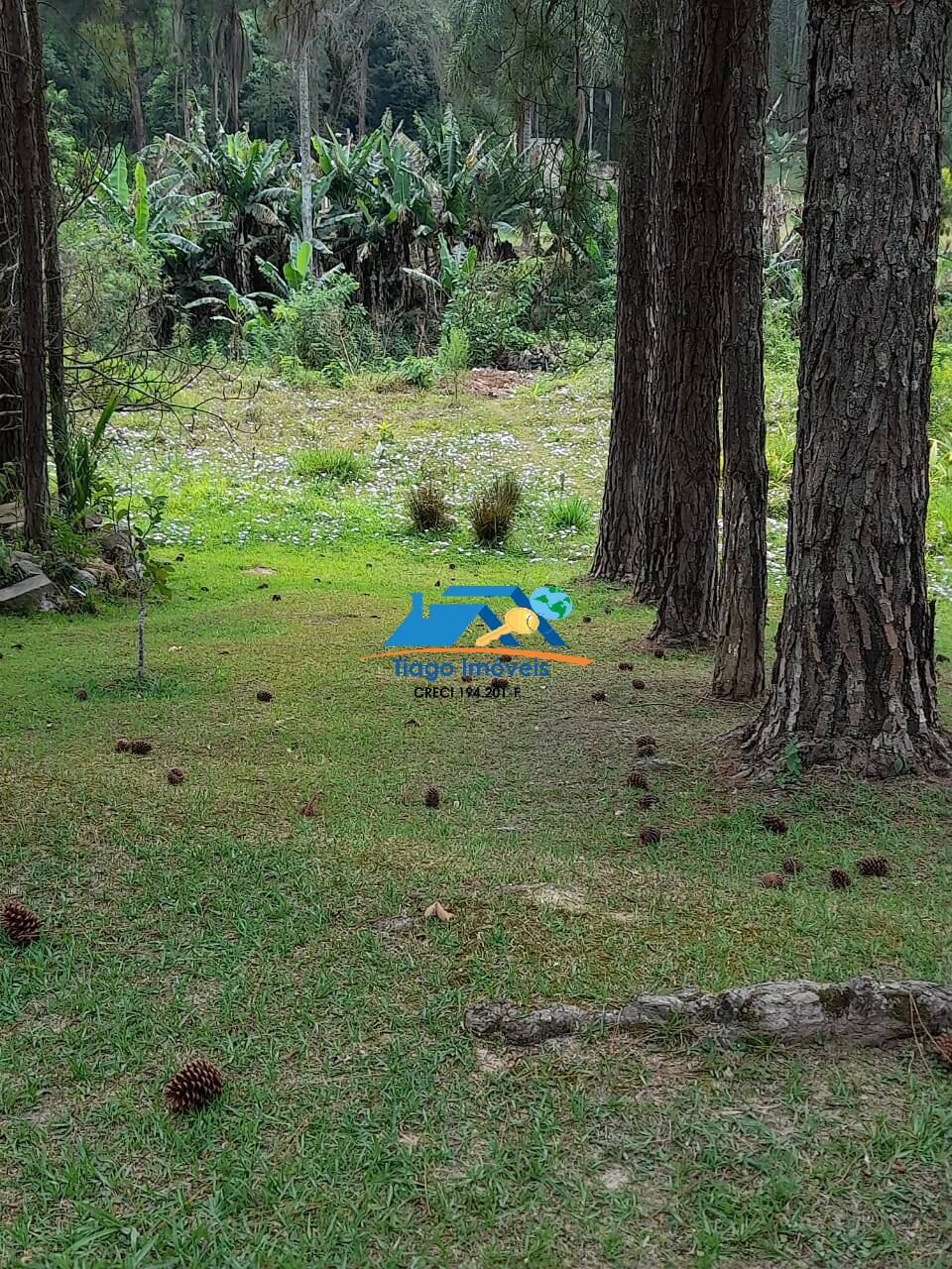 Chácara, 4 quartos, 7500 m² - Foto 26