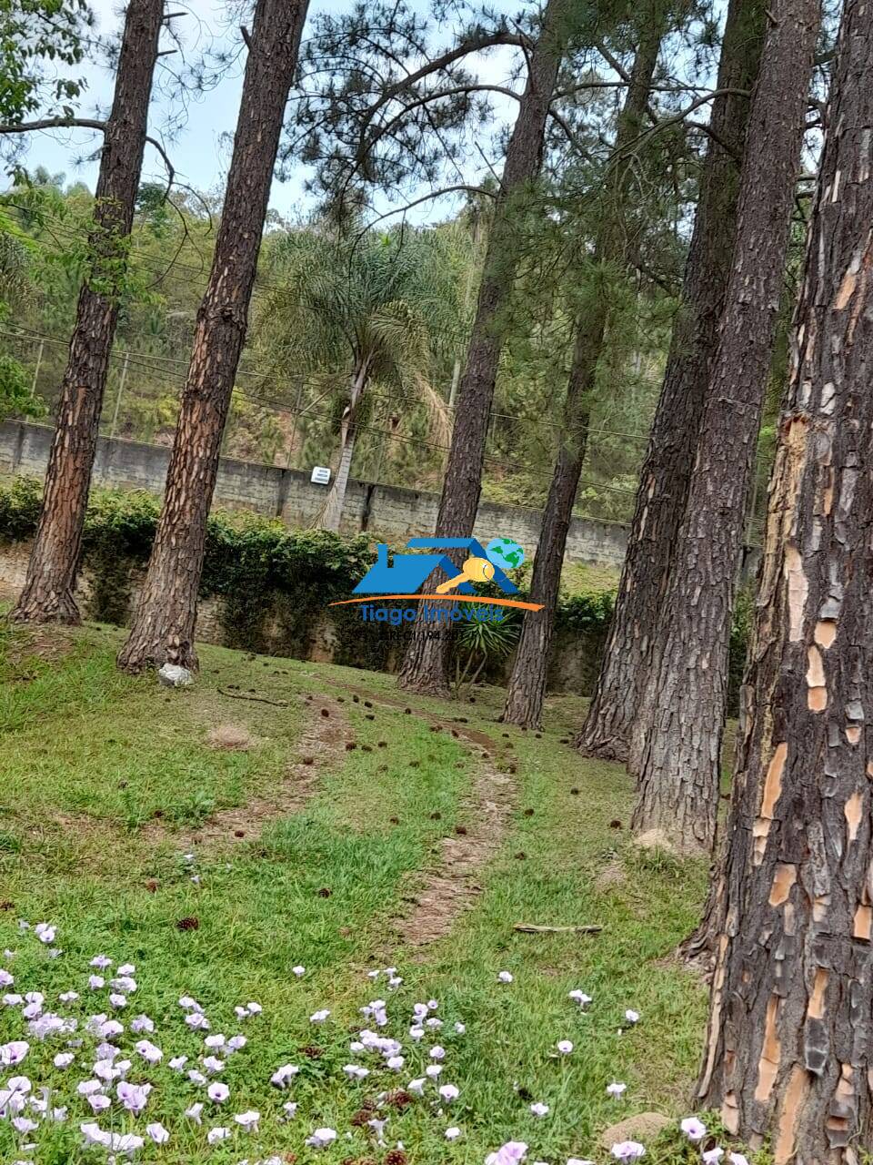 Chácara, 4 quartos, 7500 m² - Foto 27