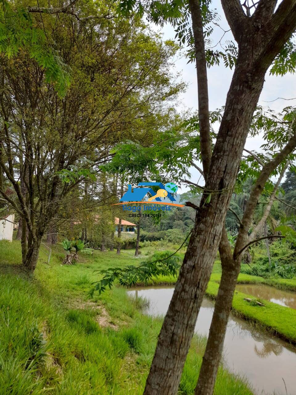 Chácara, 4 quartos, 7500 m² - Foto 31