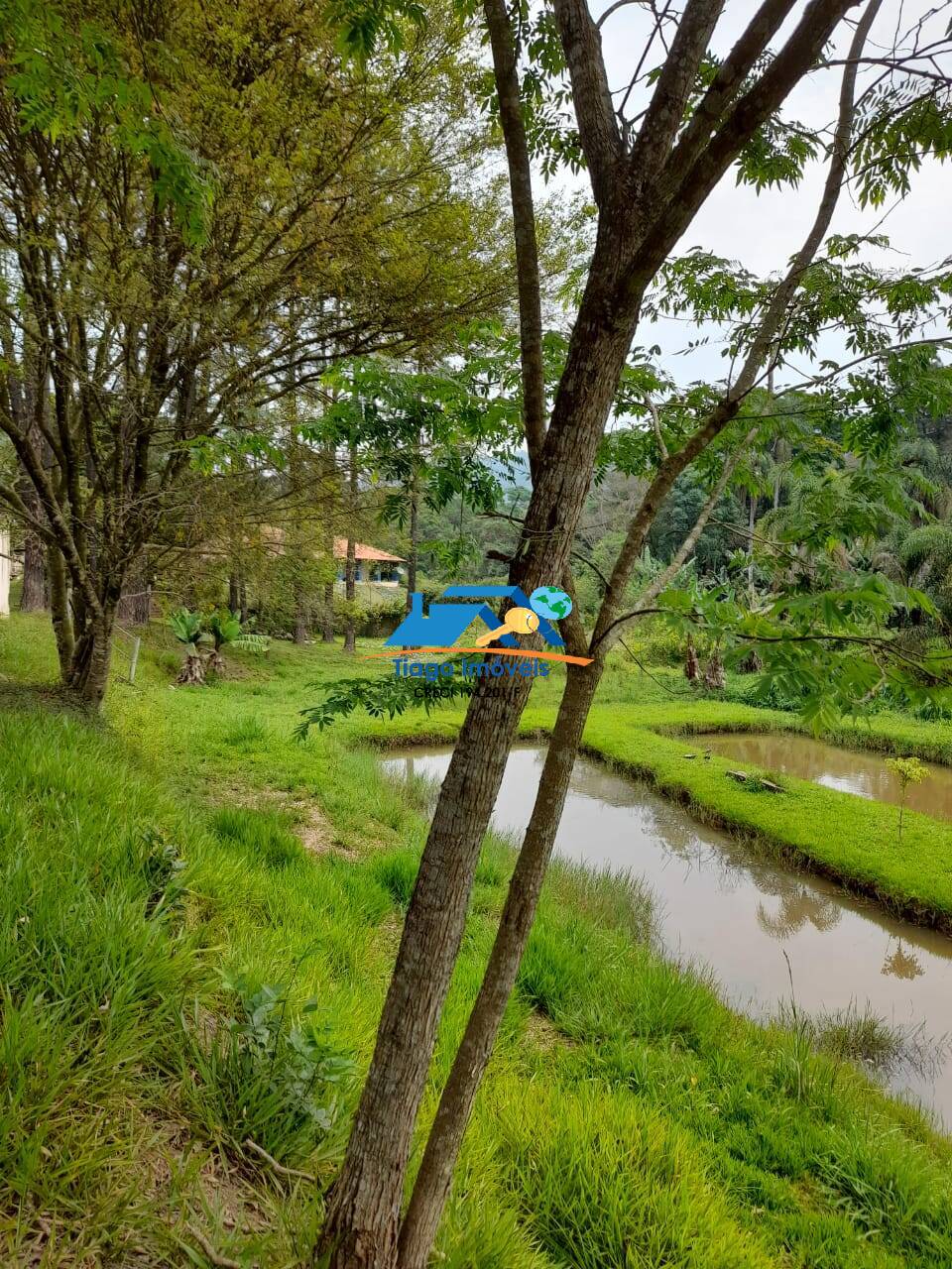 Chácara, 4 quartos, 7500 m² - Foto 33