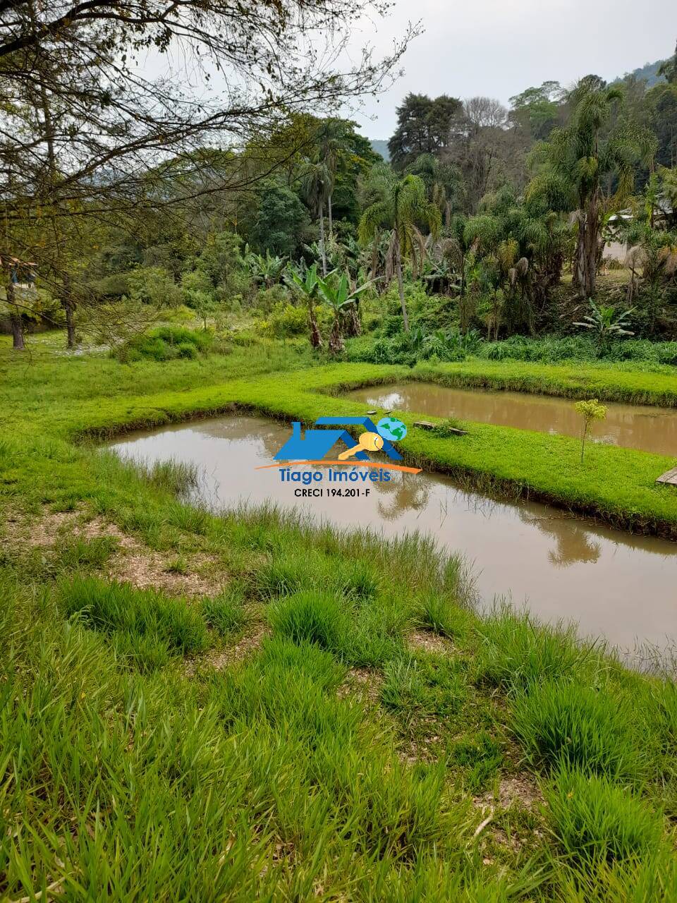 Chácara, 4 quartos, 7500 m² - Foto 37