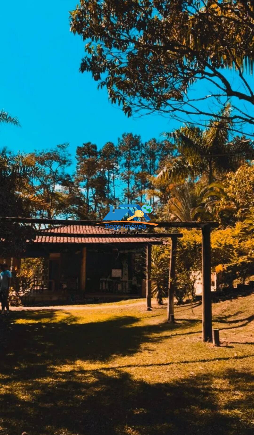 Sítio, 3 quartos, 7000 m² - Foto 4
