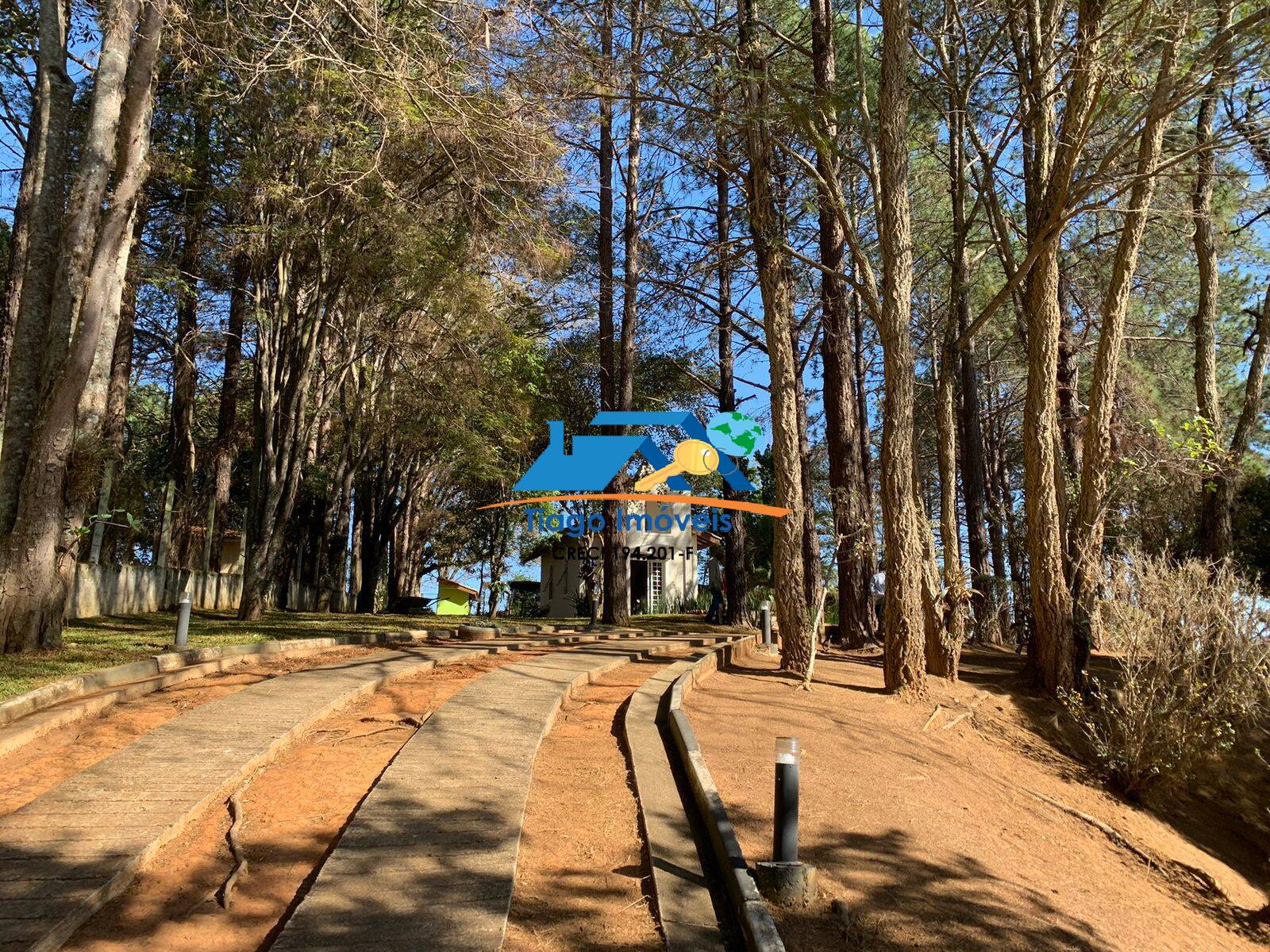 Sítio, 10 quartos, 8400 m² - Foto 19