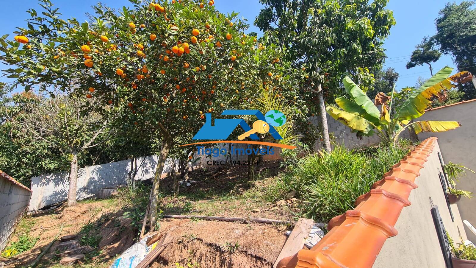 Sítio, 3 quartos, 527 m² - Foto 28