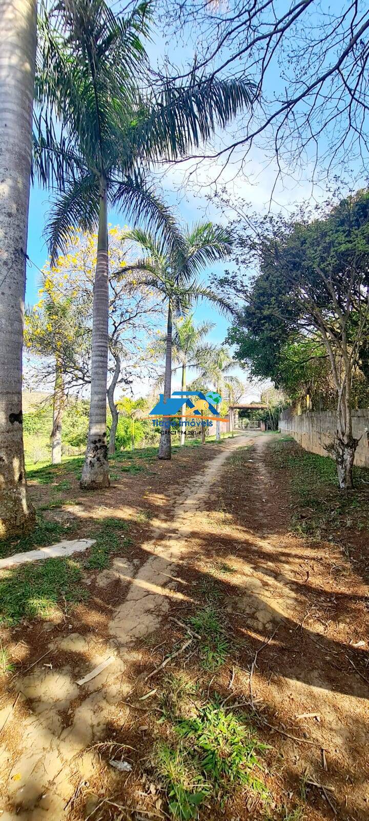 Casa, 4 quartos, 8920 m² - Foto 35