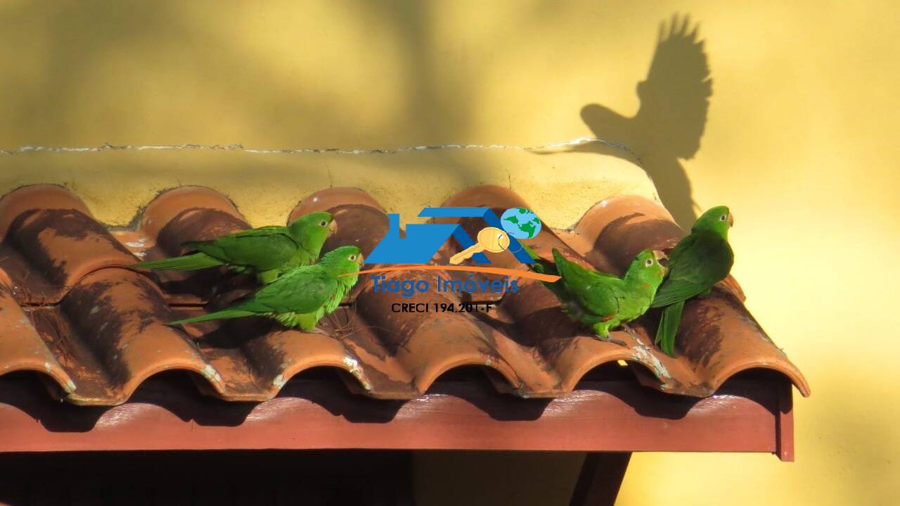 Sítio, 9 quartos, 2 hectares - Foto 5