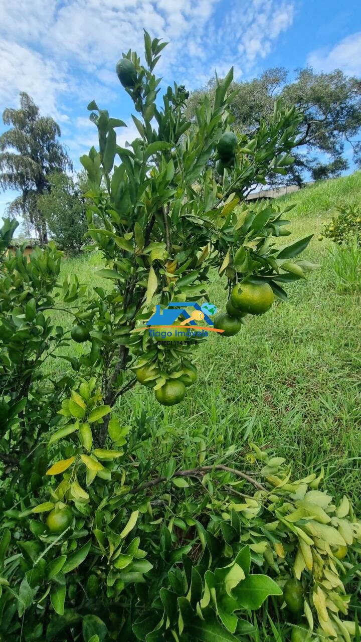 Sítio, 9 quartos, 2 hectares - Foto 25